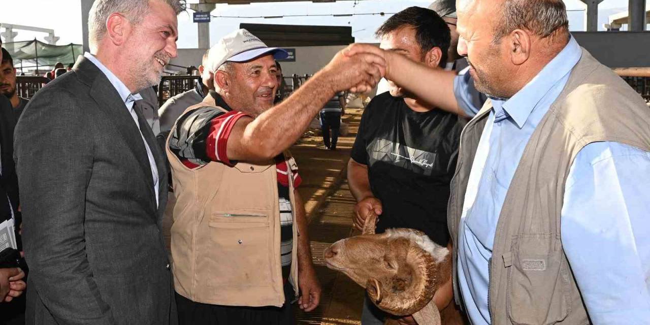 Depremzede Kahramanmaraş’ta Kurban Bayramı Heyecanı