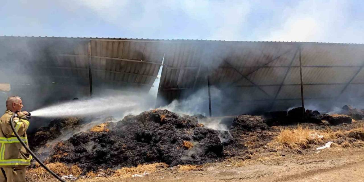 Manyas’taki Çiftlik Yangınında 52 Koyun Telef Oldu