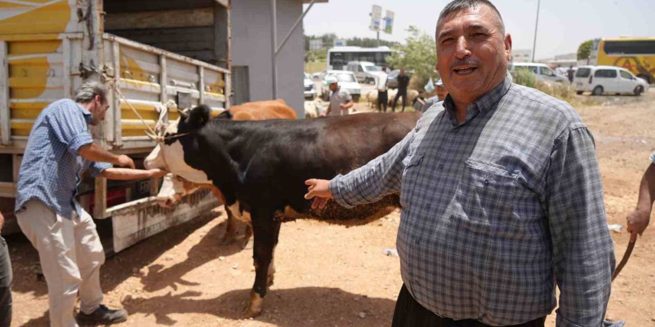 Arefe Günü Kurban Pazarlarında Yoğunluk Had Safhaya Çıktı