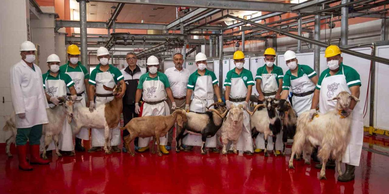 Büyükşehir Belediyesi Şehitler Anısına Kurban Kesti