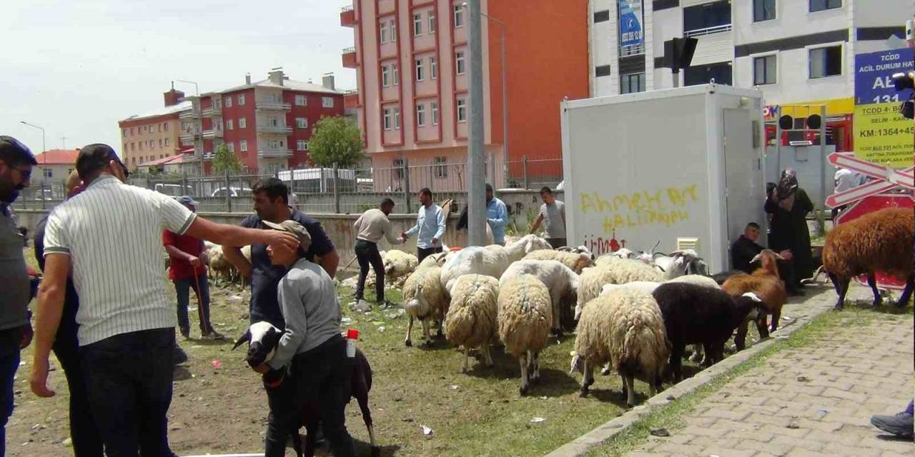 Kars’ta Hayvan Pazarında Yoğunluk