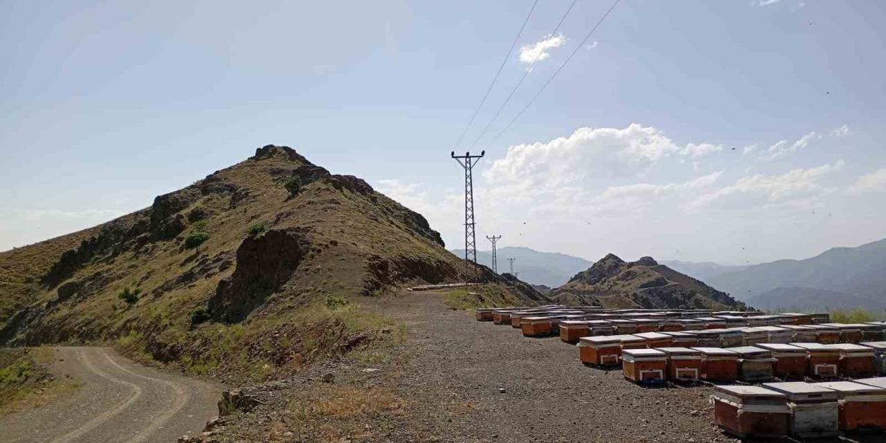 Pervari’de Arıcılar Yayla Yoluna Kavuştu