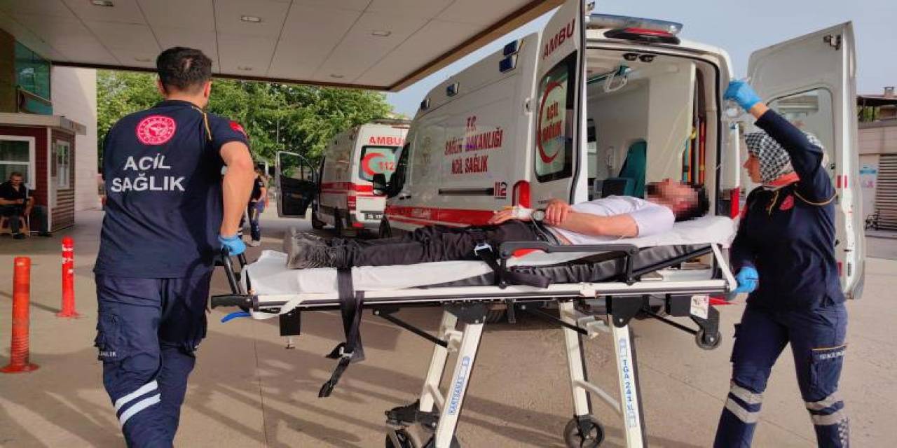 Arıların Soktuğu Genç Ölümden Döndü