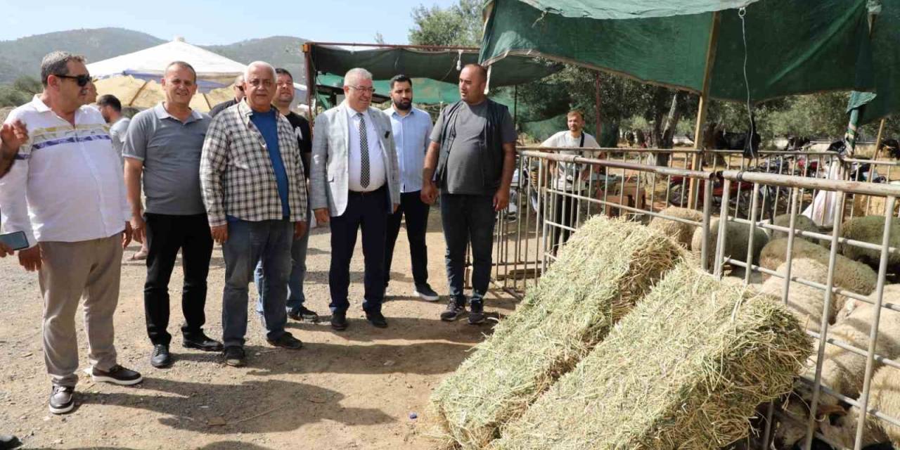 Başkan Ertaş: “Kurban Bayramı Dayanışma Demektir”