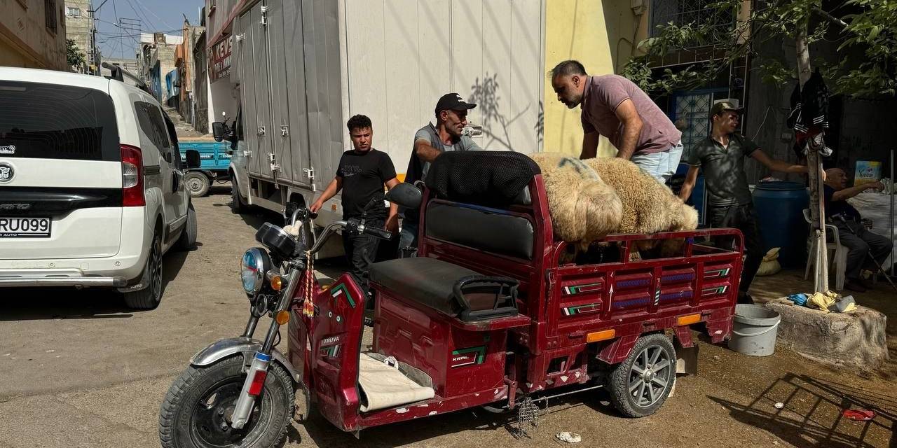 Kilis’te Kurbanlıklar Sepetli Motosikletlerle Taşındı