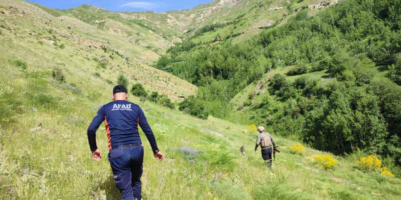 Kendisinden 2 Gündür Haber Alınamayan Çoban İçin Ekipler Seferber Oldu