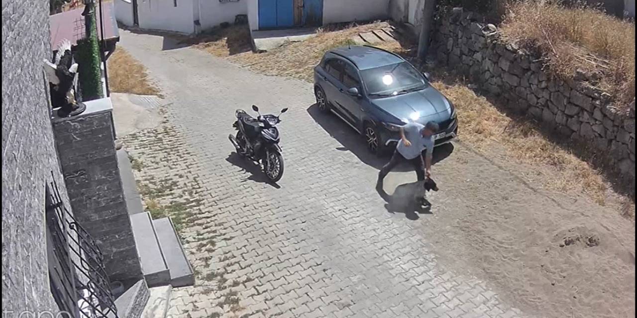 Köpeğe Şiddet Kamerada