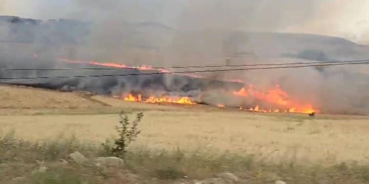 Tunceli’de Yıldırım Ekili Alana İsabet Etti, Yüzlerce Dönüm Buğday Kül Oldu