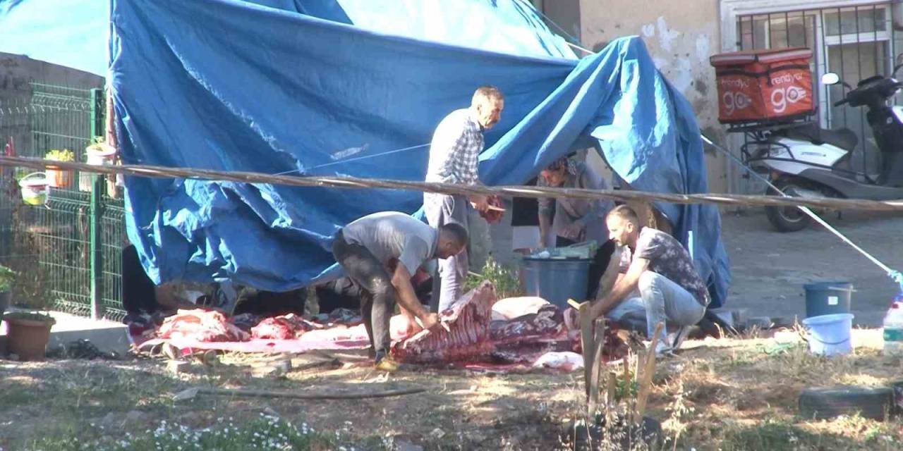 Maltepe’de Sokaklar Kesimhaneye Döndü