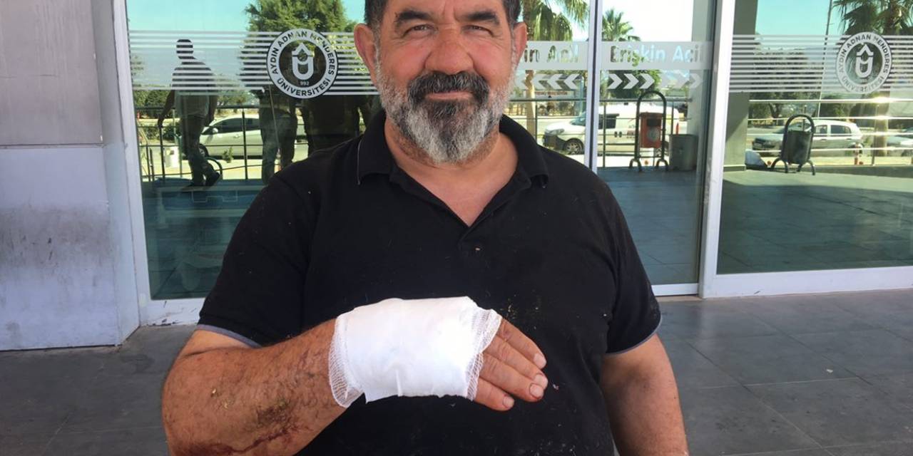 Acemi Kasaplar Hastanelik Oldu