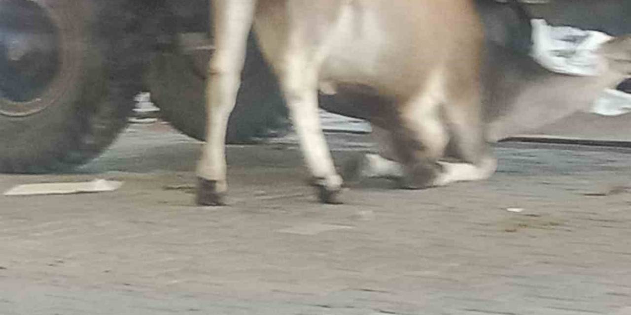 Esenyurt’ta Bayram Günü Korkutan Yangın