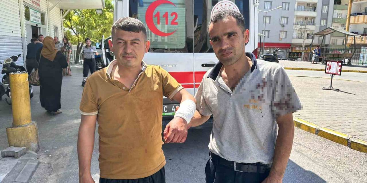 Kendini Kesen Acemi Kasaplar Hastanelere Koştu