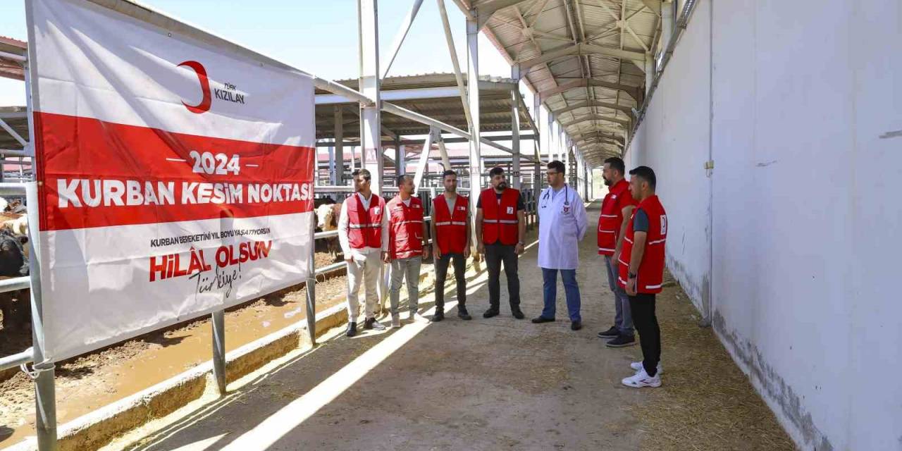 Türk Kızılay’ı Yurtta Ve 19 Ülkede Kurban Kesimlerine Başladı