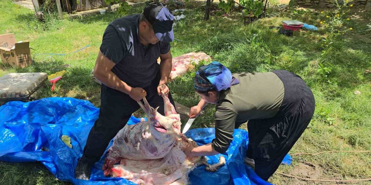 3 Çocuk Annesi Maharetiyle Kasaplara Taş Çıkarttı