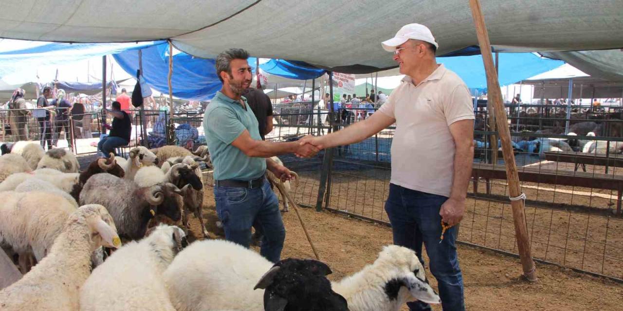 Bayramın İlk Gününde Kurban Pazarında Hareketlilik