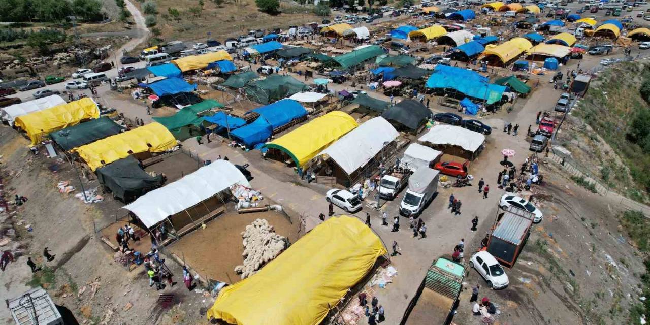 Başkentte Kurban Kesim Alanlarında Yoğunluk Yaşandı
