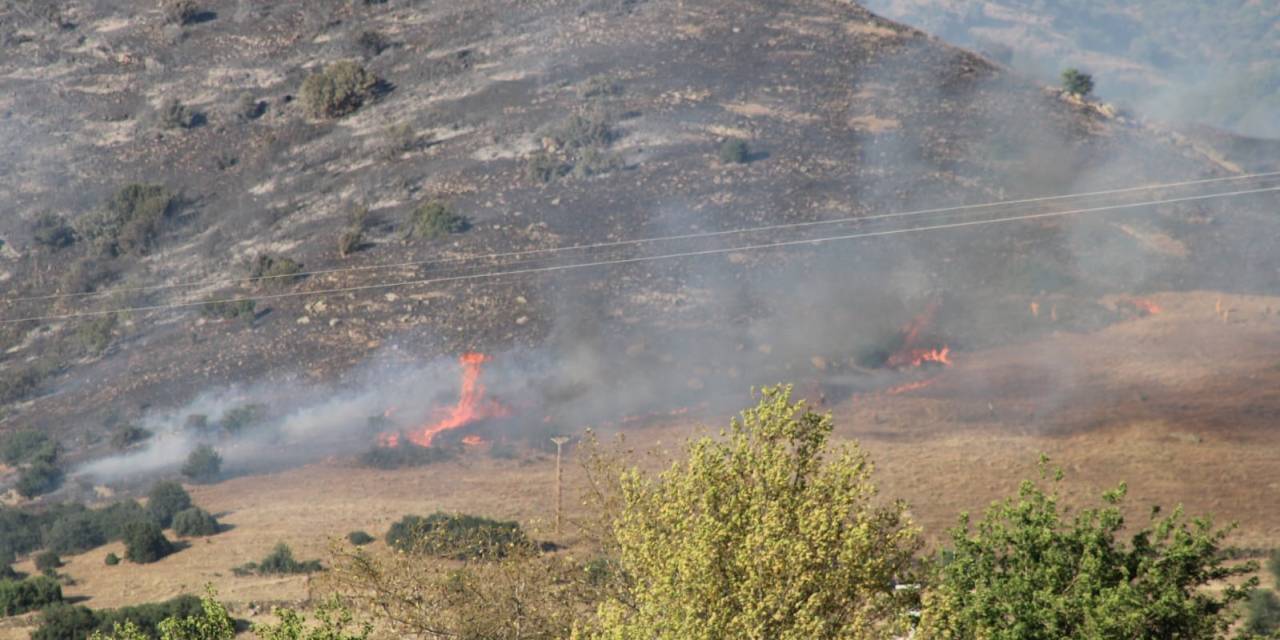 Çine’deki Orman Yangını Kontrol Altına Alındı