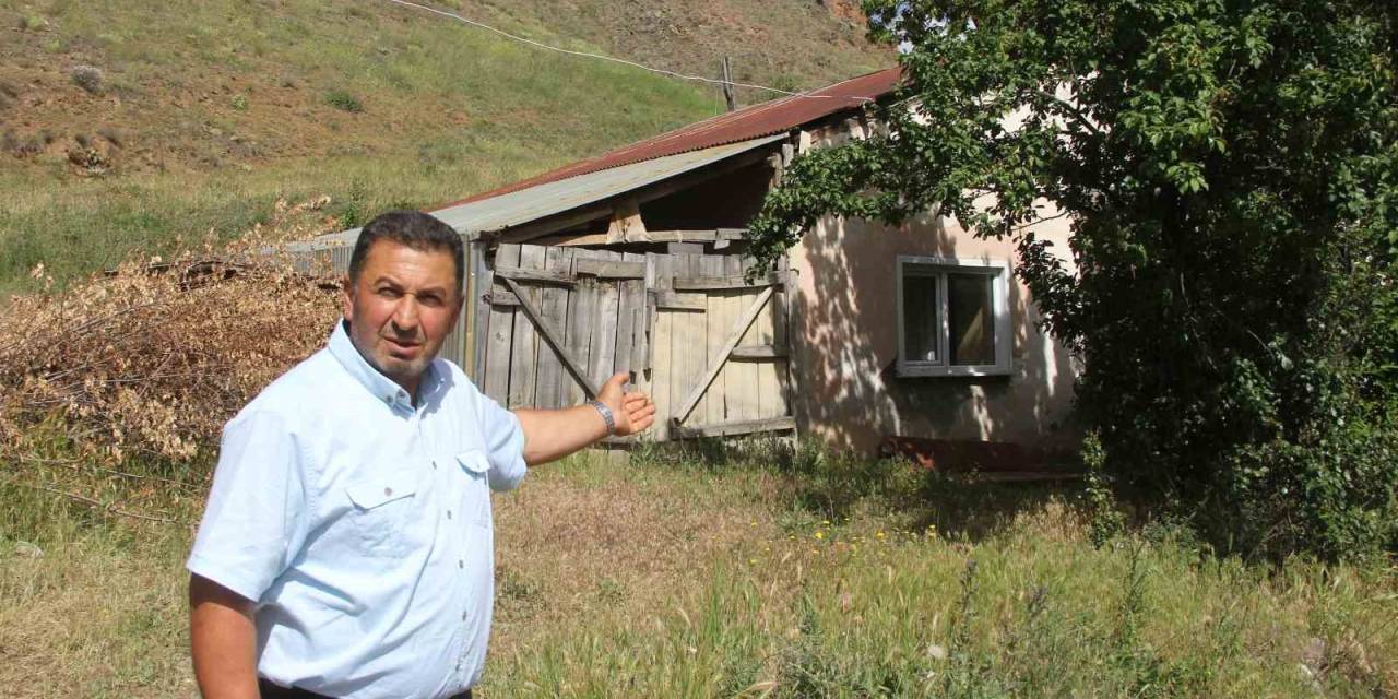 50 Bin Lira Maaşa Çalıştıracak Çoban Bulamıyorlar