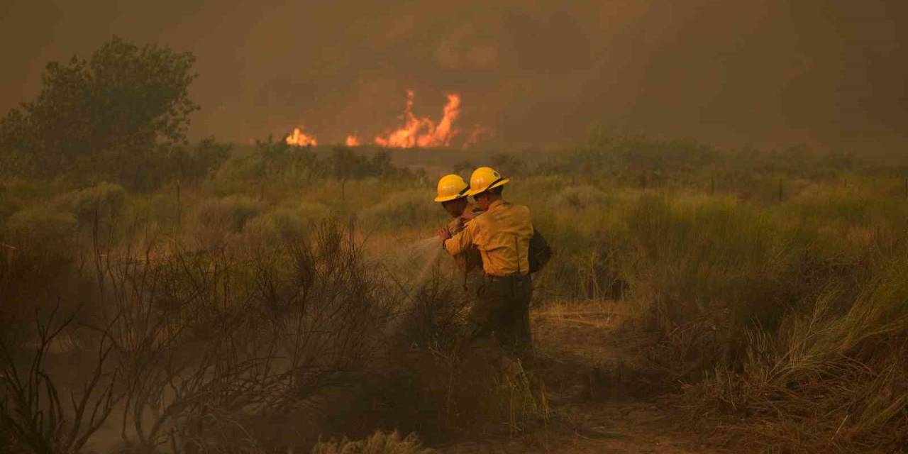 Abd’de Orman Yangını: 14 Bin 625 Dönümlük Alan Yandı