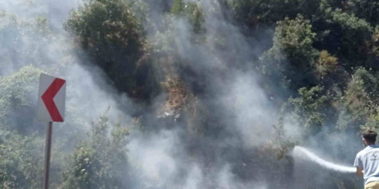 Akli Dengesi Olmayan Vatandaş, Ormanı Küle Çevirecekti