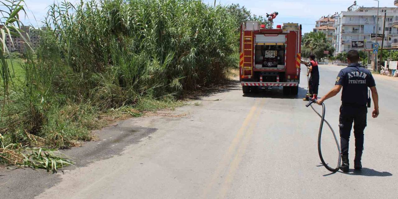 İtfaiyenin Hızlı Müdahalesi Pamuk Tarlasını Yanmaktan Kurtardı