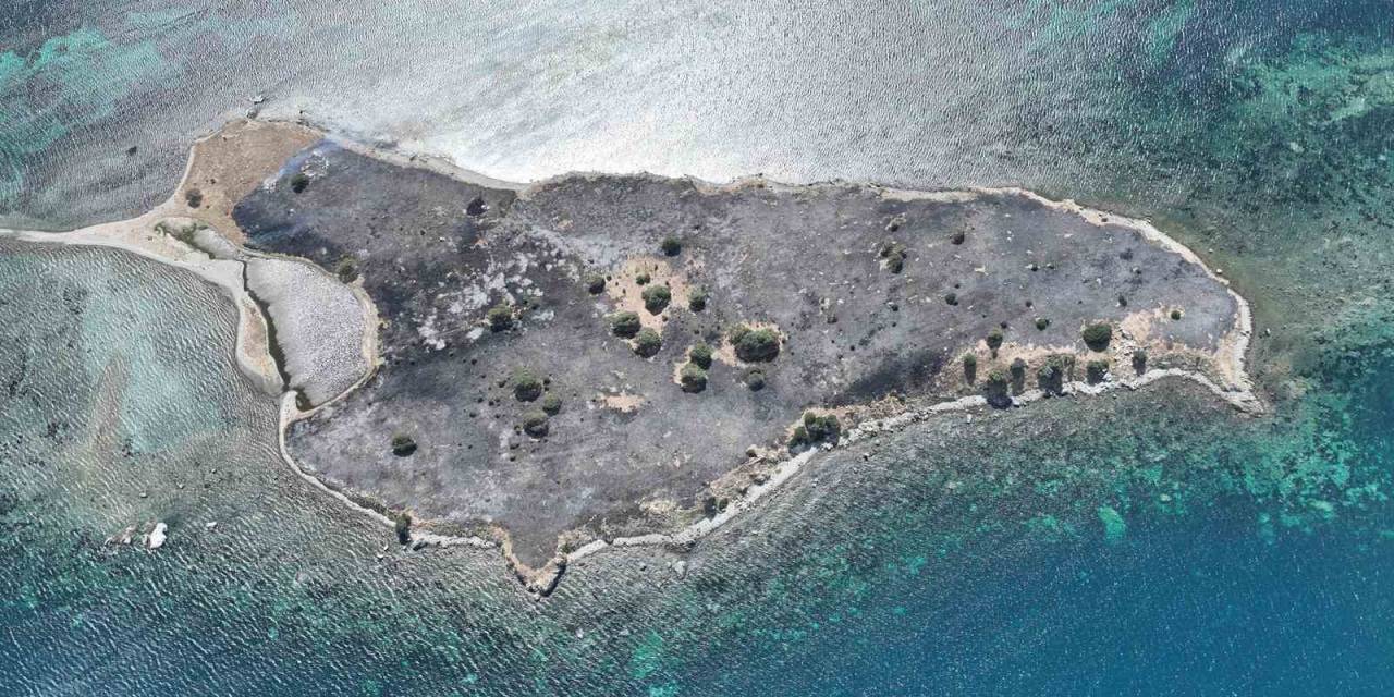 Gece Boyunca Yanan Çiçek Adası Küle Döndü