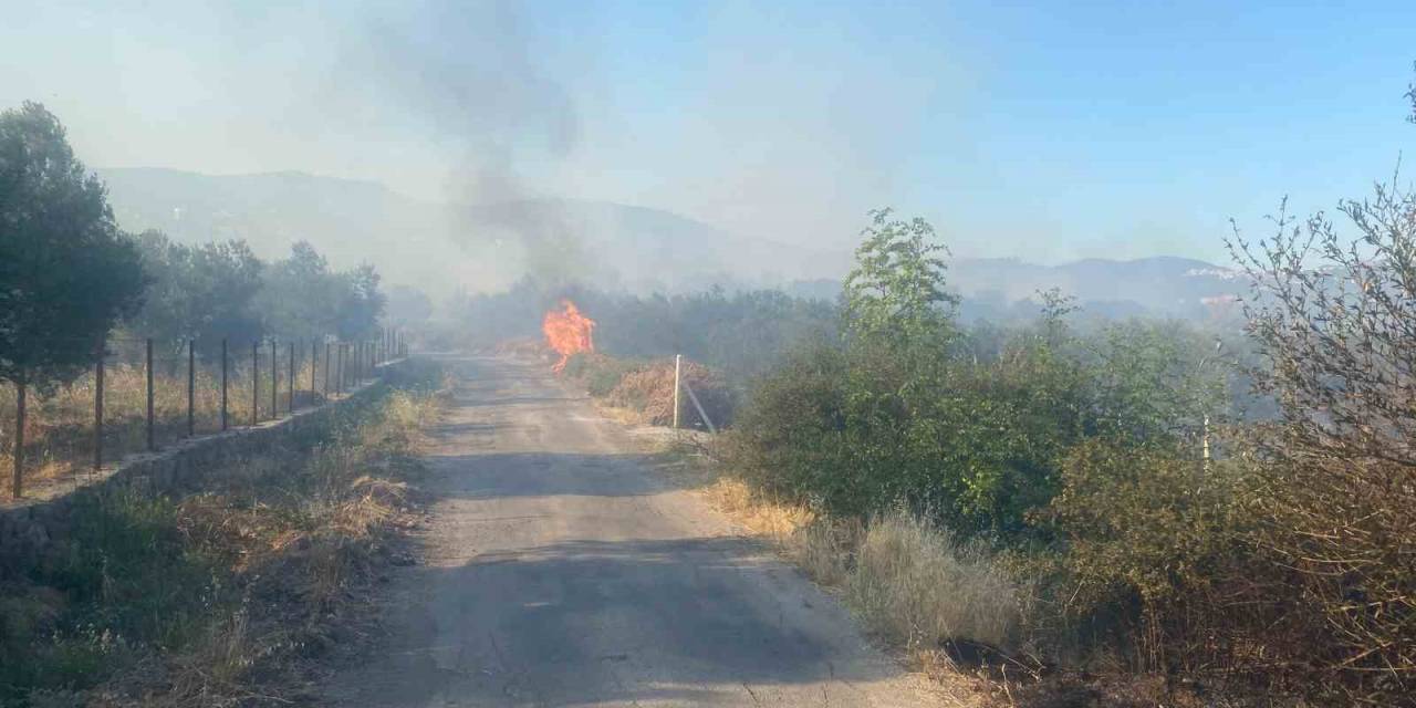 Ayvacık’ta Orman Yangını