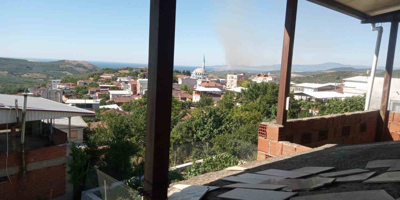 Mudanya’da Ve Gemlik’te Korkutan Yangınlar