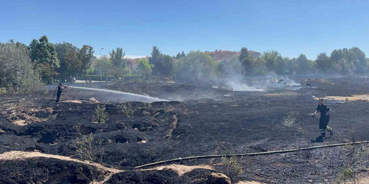 Köpek Besleme Alanındaki Yangından Etkilenen 3 Kaplumbağa Tedavi Altına Alındı