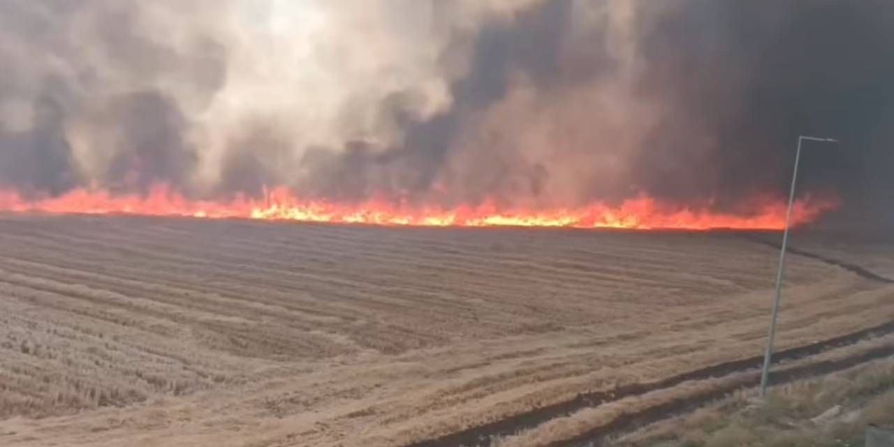 Siverek’te Çıkan Yangında 100 Dönüm Arazi Ve 200 Ton Saman Kül Oldu