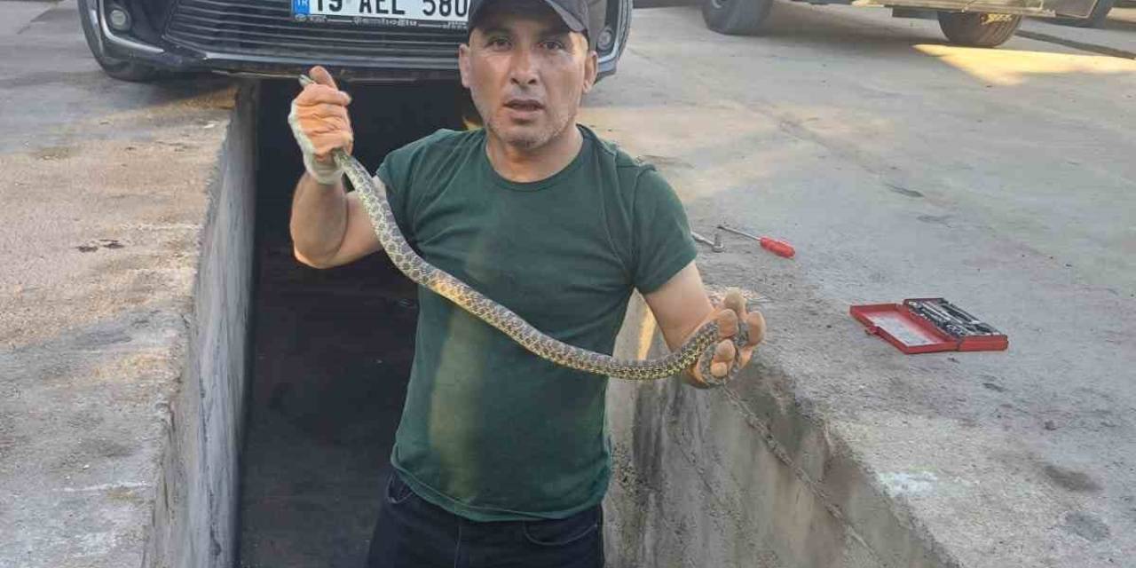 Otomobilin Motoruna Giren Yılanı İtfaiye Çıkardı