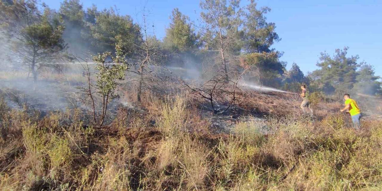 Bilecik’te Ormanlık Alanda Çıkan Yangın Ekiplerin Müdahalesiyle Büyümeden Söndürüldü
