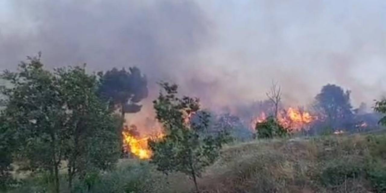 Buldan’da Orman Yangını Büyümeden Söndürüldü
