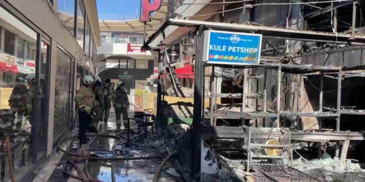Avcılar’da Bir Petshopta Çıkan Yangında Faciadan Dönüldü