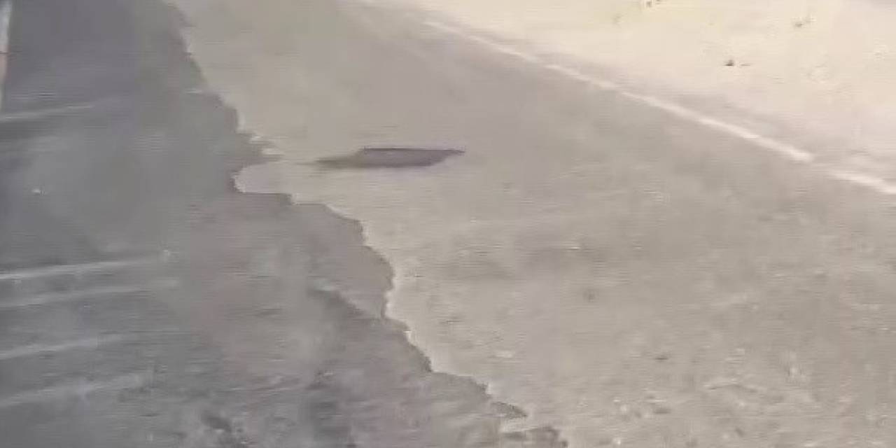 Polis, Suçluyu Yakalamak İçin Değil, Hayat Kurtarmak İçin Koştu