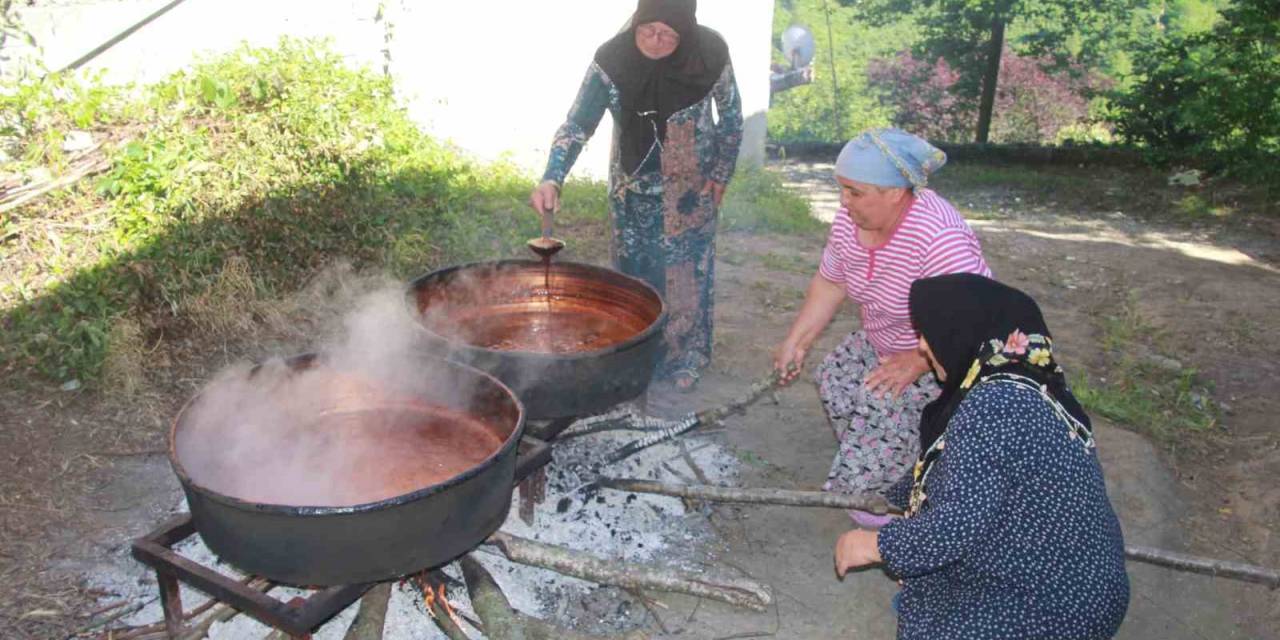 Ordulu Kadınların Dut Pekmezi Mesaisi