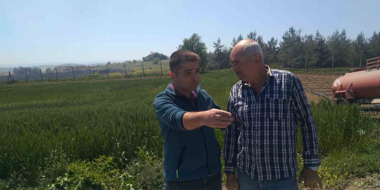 Bilecik’te ‘Süne Nimf Sürvey’ Çalışmaları Talimatı Verildi