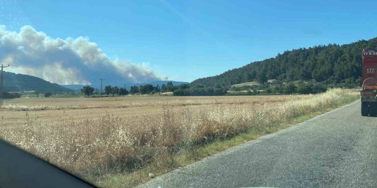Çanakkale Yangınında Anafartalar Köyü Boşaltıldı