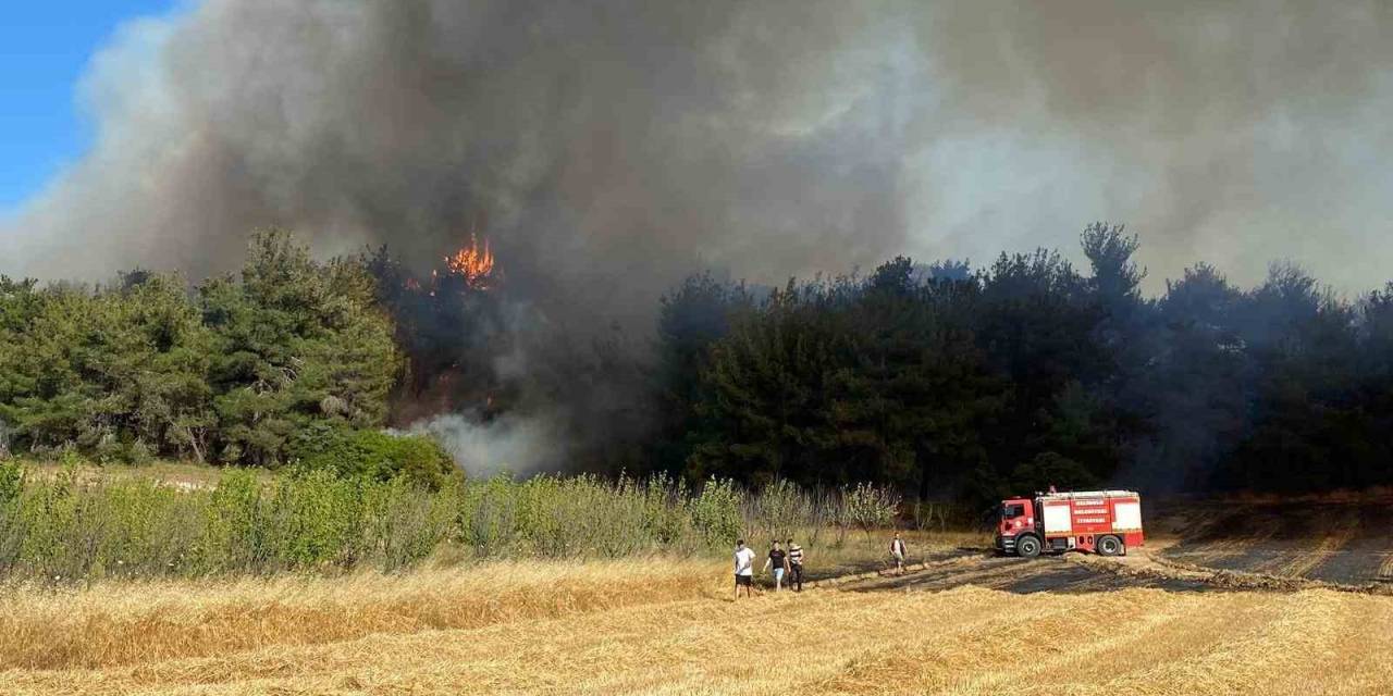 Çanakkale Valiliğinden Yangın Açıklaması