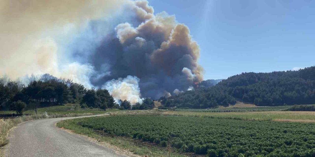 Eceabat’taki Orman Yangını Devam Ediyor