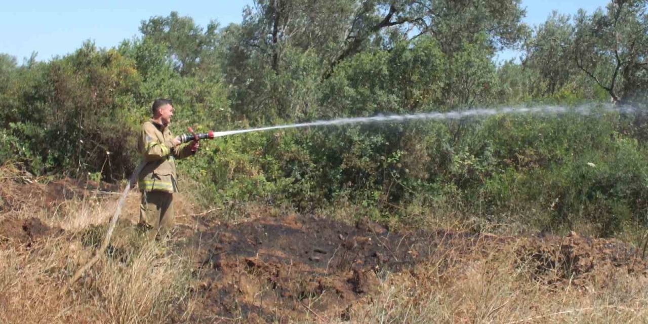 Balıkesir’deki Yangında Yüzlerce Zeytin Ve Meyve Ağacı Zarar Gördü