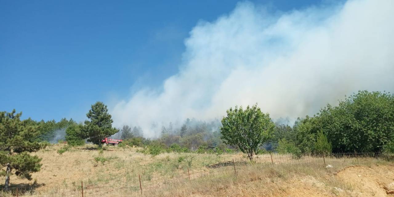 Manisa Spil Dağı Milli Parkı’ndaki Yangın Kontrol Altında