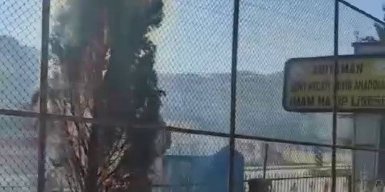 Okul Bahçesinde Ağaçlar Cayır Cayır Yandı