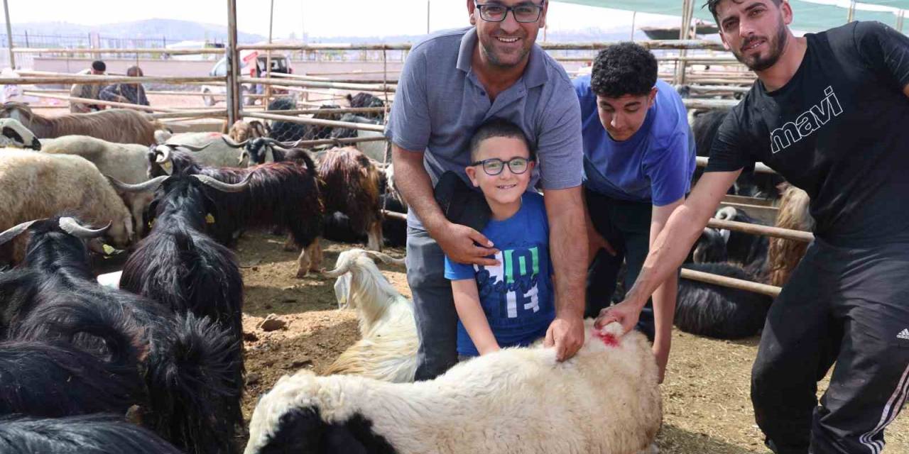 Elazığ’da Bayramın Son Gününde Kurbanlık Alma Telaşı Sürdü