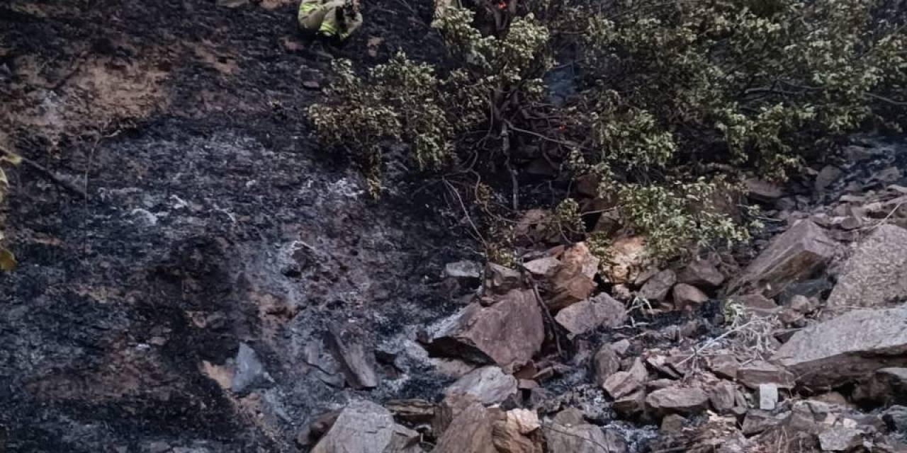 Alaşehir’de 50 Dekarlık Meyve Bahçesi Kül Oldu