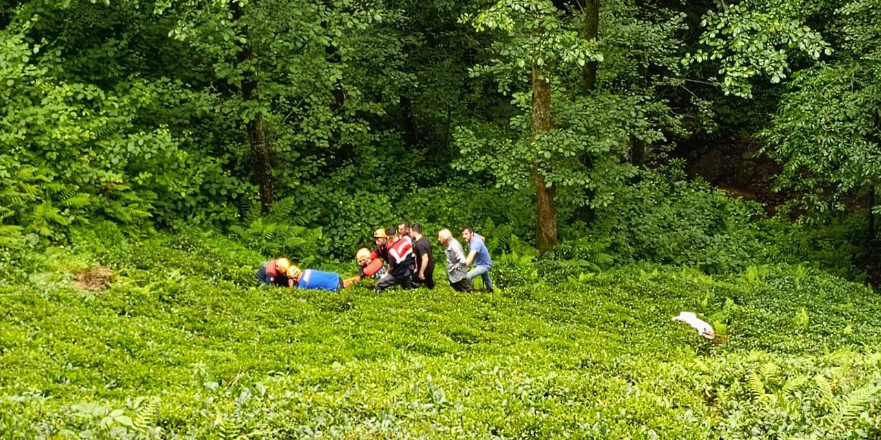 Rize'de odun keserken dereye yuvarlanan kişi yaralandı