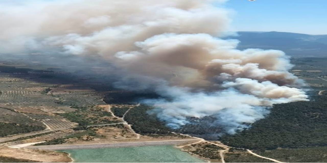Soma’da Orman Yangını