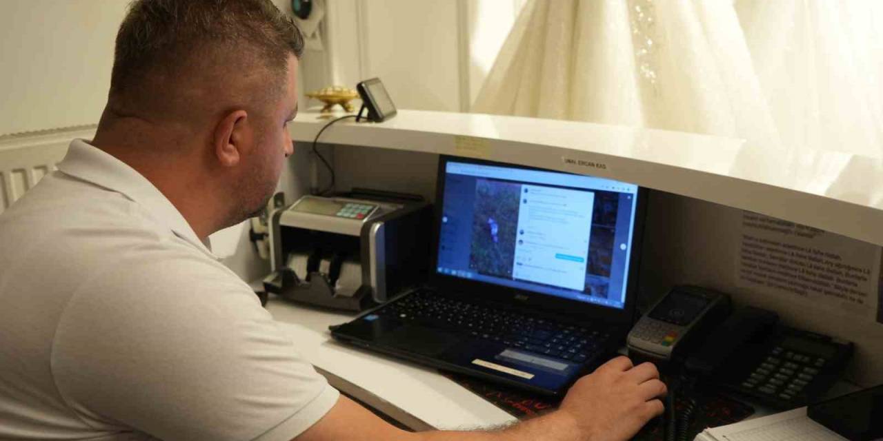 Ormanda Kendisini Çeken Dronu Gören Ayı, Yavrusunu Korumaya Çalıştı