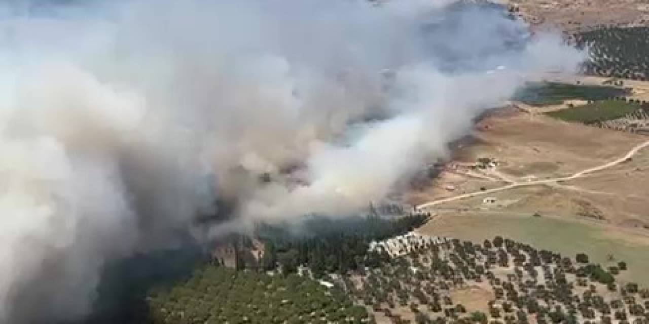 Ayvalık’ta Çöplükte Çıkan Yangın Otluk Araziye Sıçradı