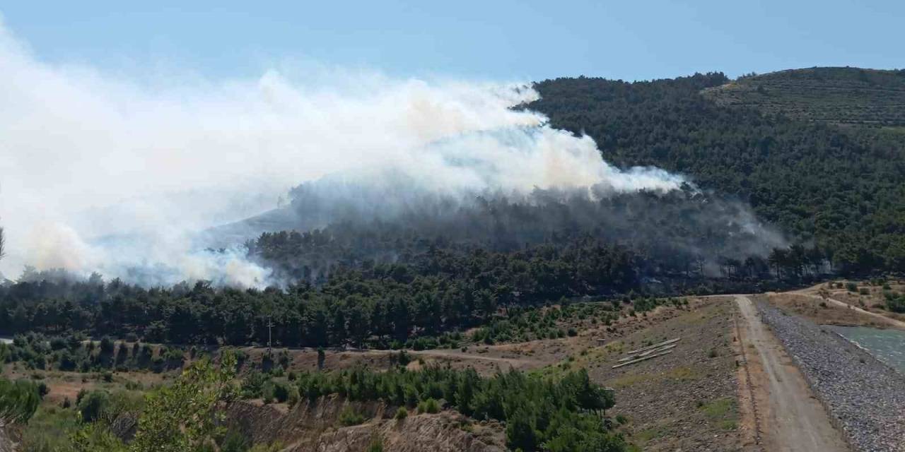 Soma’daki Orman Yangını Kontrol Altına Alındı